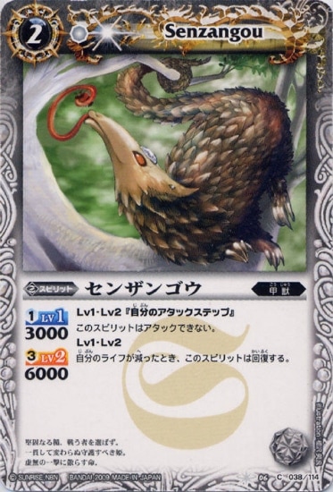 BS06-038 ���󥶥󥴥���2009��