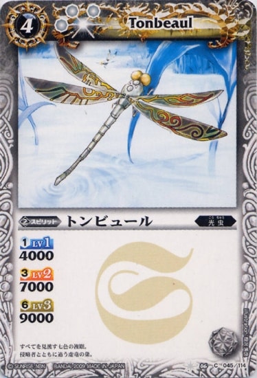 BS06-045 �ȥ�ӥ塼���2009��