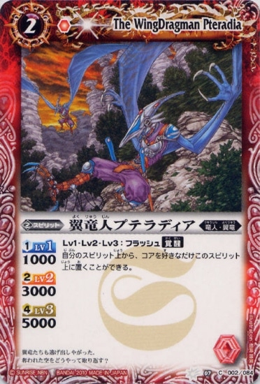 BS07-002 ��ε�ͥץƥ�ǥ�����2010��