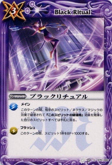 BS07-070 ֥å奢2010