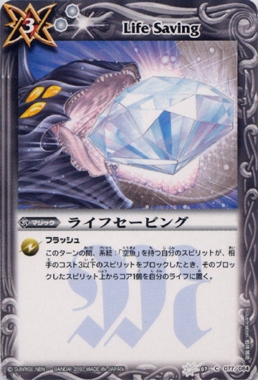 BS07-077 饤եӥ󥰡2010