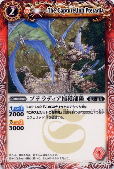 BS08-002 �ץƥ�ǥ�����������2010��