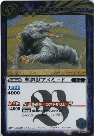 BS10-078 �����å���ߡ��� R��2010��