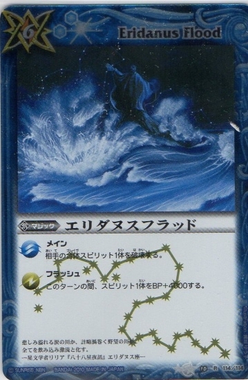 BS10-114 ������̥��ե�å� R��2010��