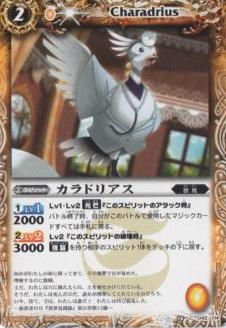 BS10-042 ����ɥꥢ����2010��