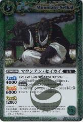 BS13-023 �ޥ���ƥ󡦥������� R��2011��