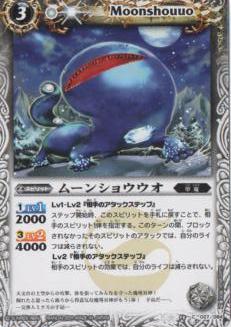 BS13-027 ࡼ󥷥祦2011