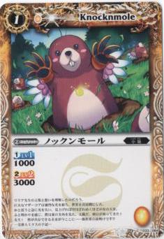 BS13-033 Υå⡼2011