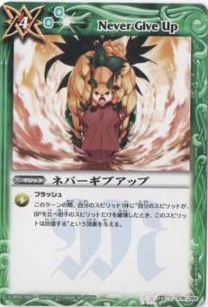 BS13-078 ͥС֥åס2011