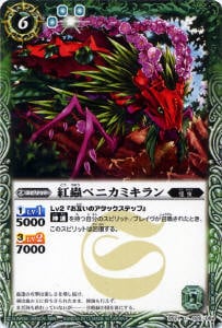 BS21-026 굥٥˥ߥ2013