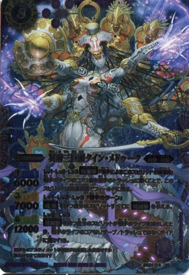 BS24-X02 ̽�ܻ���Ƭ�����󡦥�ɥ����� X��2013��