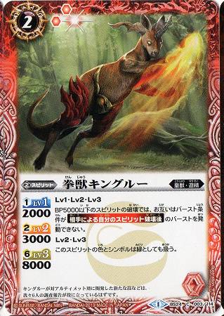 BS24-003 ���å��󥰥롼��2013��