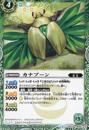 BS24-025 ���ʥ֡����2013��