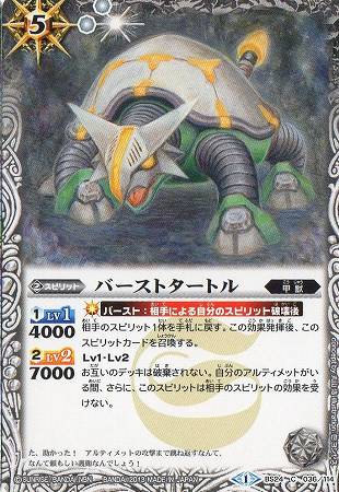 BS24-036 �С����ȥ����ȥ��2013��