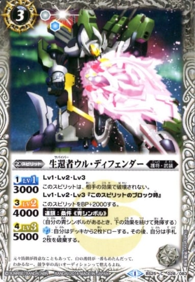 BS25-028 Լԥ롦ǥե2014