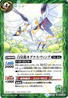 BS27-064 �����������ʥ��������󥰡�2014��