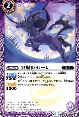 BS28-011 ̽��å������2014��