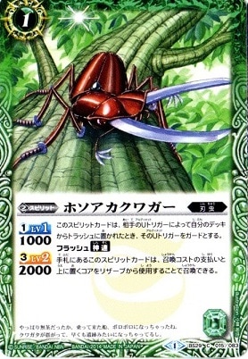 BS29-015 ۥ塞2014