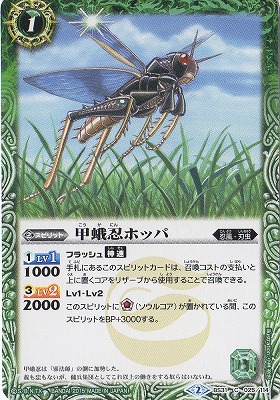 BS31-025 �ò�Ǧ�ۥåѡ�2015��