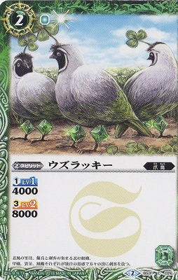 BS31-026 ������å�����2015��