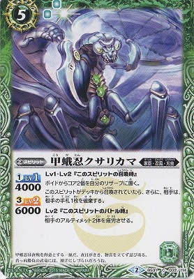 BS31-032 �ò�Ǧ�����ꥫ�ޡ�2015��