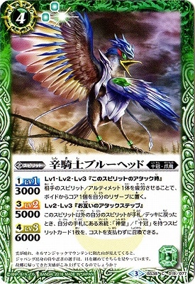 BS38-019 �ɵ��Υ֥롼�إåɡ�2016��