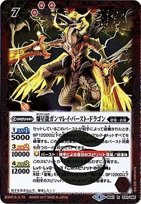 BS41-010 ����ζ����ޥ쥤���С����ȡ��ɥ饴�� R��2017��