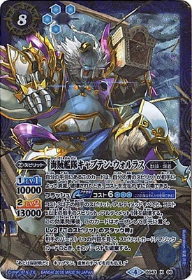 BS43-X06 ±⥭ץƥ󡦥饹 X2018