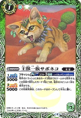 BS43-021 ð²ܥͥ2018