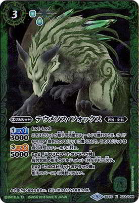 BS45-023 �ƥ��᥽�����ե��å��� M��2018��