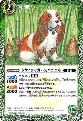 BS45-019 �����Υ��å������ѥ˥����2018��