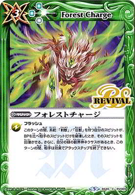 BS45-RV009 ե쥹ȥ㡼2018