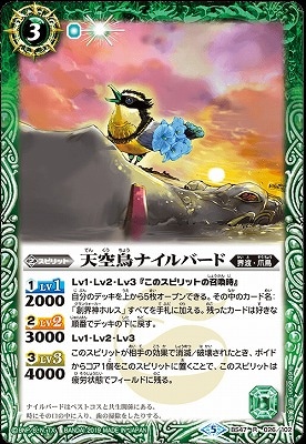 BS47-026 ŷĻʥС R 2019