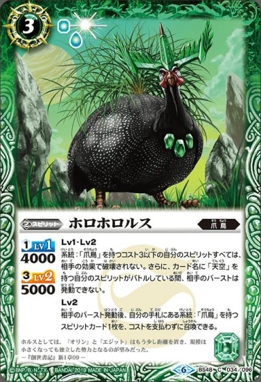 BS48-034 �ۥ��ۥ��륹��2019��