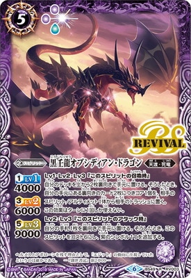 BS49-RV003 ����ζ���֥��ǥ����󡦥ɥ饴�� R��2019��