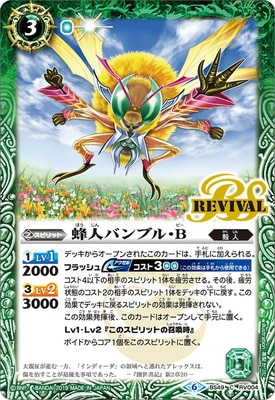 BS49-RV004 ˪ͥХ֥롦B2019