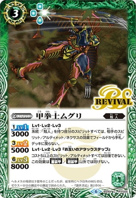 BS49-RV005 �÷��Υ॰���2019��