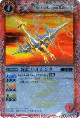 BSC01BS02-007 ζХ󥯡2010