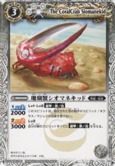 BSC14BS05-032 곪ޥͥå U2013