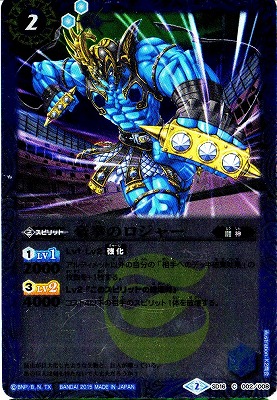 BSC21SD16-002 Υ㡼2015