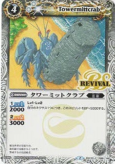 BSC22-088 ߥåȥ֡2015