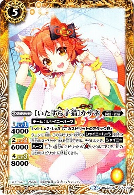 BSC23-007 �Τ��������ǭ�ϥ����͡�2016��