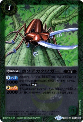 ��BSC27��BS29-015 �ۥ��������塞����2016��