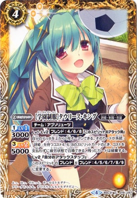 BSC31-019 �γر������ϥ����꡼�������󥰡�2018��