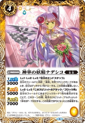 BSC34-010 ڤʥǥ R2019