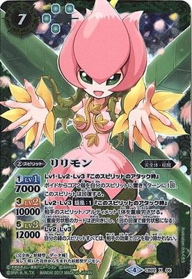 CB02-X05 ����� X��2017��