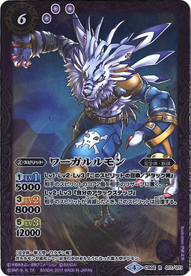 CB02-017 �������� R��2017��