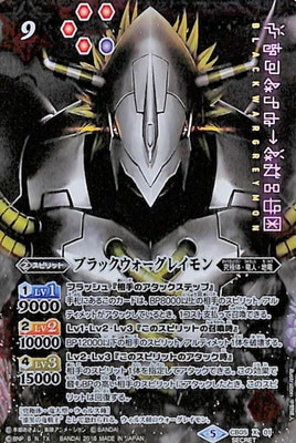 ��SECRET��CB05-X01 �֥�å����������쥤��� X