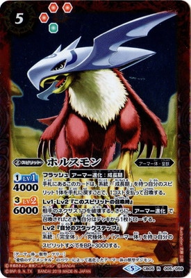 CB05-005 �ۥ륹��� R