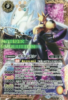 ��SECRET��CB07-X06 �������� X